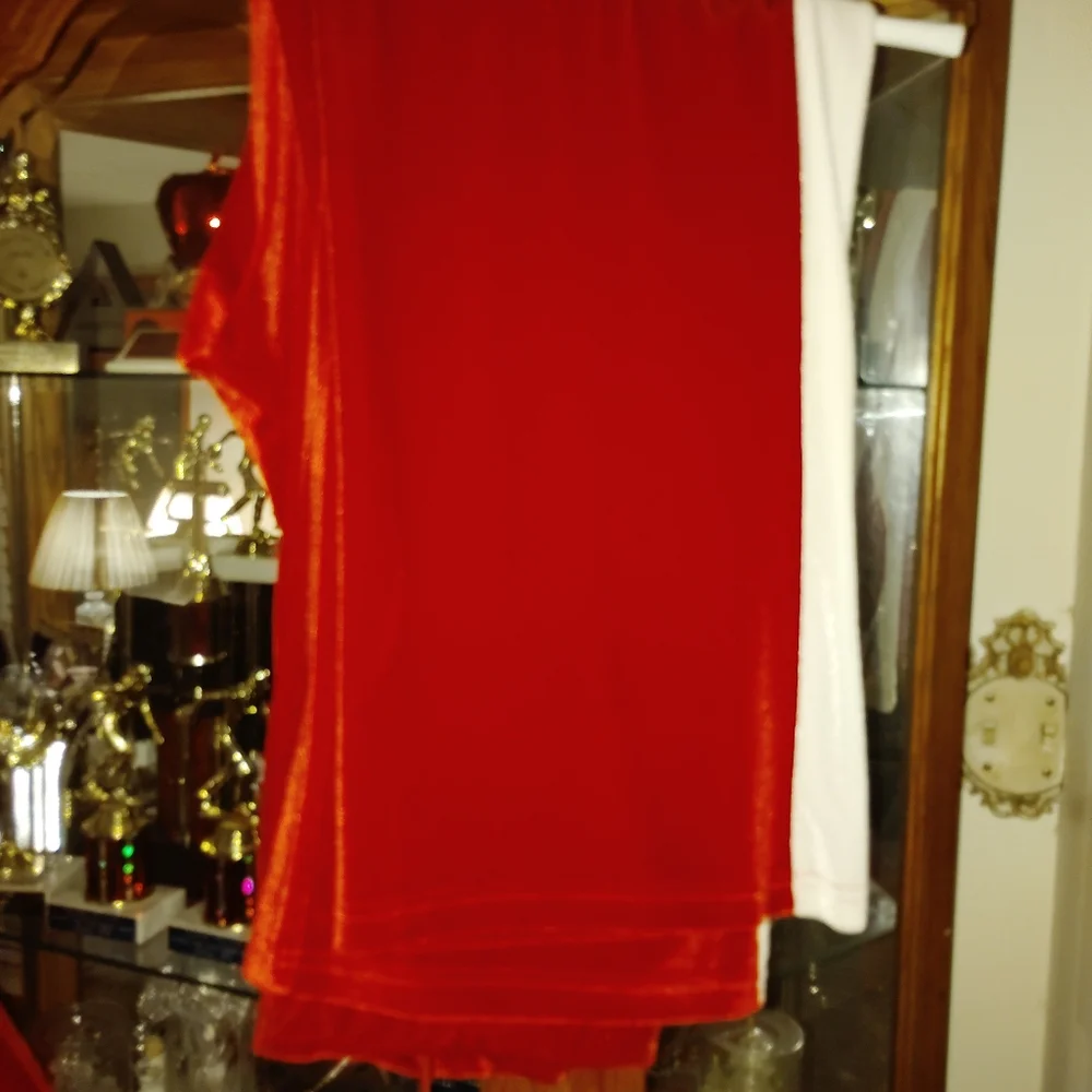 Delta Sigma Theta Women's Velvet Track Suit with White Side Stripe - Dark Red L - Picture 5 of 9